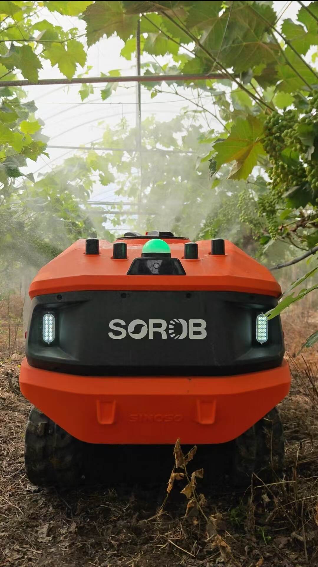 How to Reduce Pesticide Consumption by 30% Using Spot Spraying